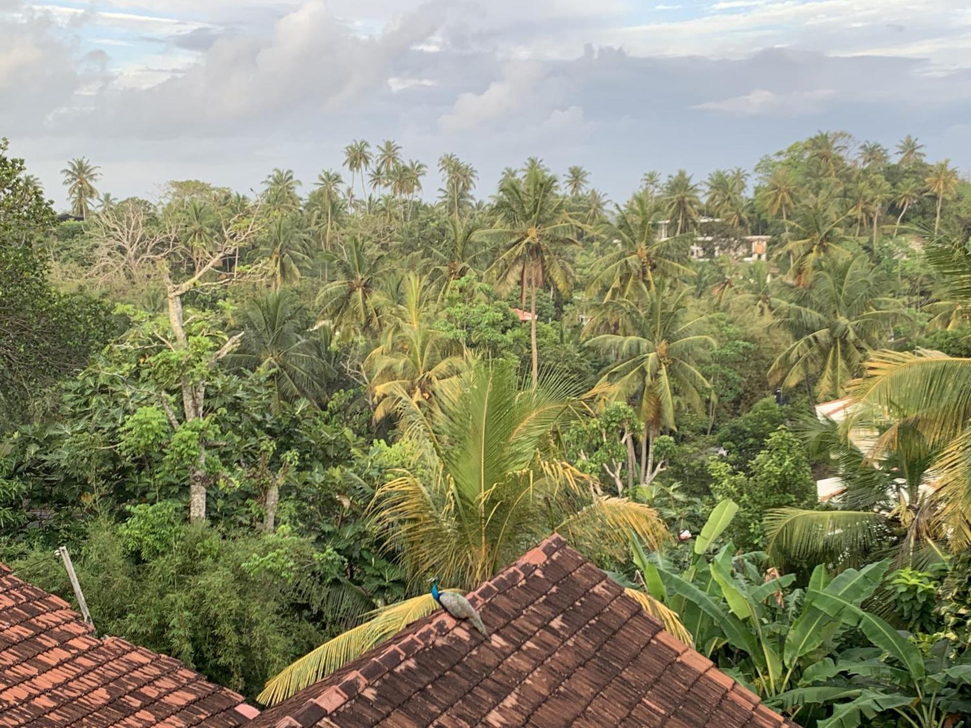 Arcadia Ocean View Lägenhet Unawatuna Exteriör bild